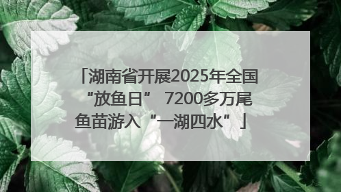 湖南省开展2025年全国“放鱼日” 7200多万尾鱼苗游入“一湖四水”