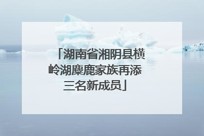 湖南省湘阴县横岭湖麋鹿家族再添三名新成员