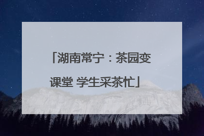 湖南常宁：茶园变课堂 学生采茶忙