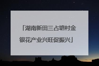 湖南新田三占塘村金银花产业兴旺促振兴