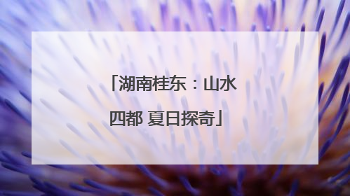 湖南桂东：山水四都 夏日探奇
