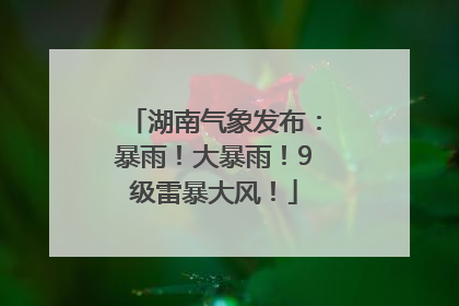 湖南气象发布：暴雨！大暴雨！9级雷暴大风！