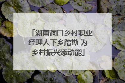 湖南洞口乡村职业经理人下乡踏勘 为乡村振兴添动能