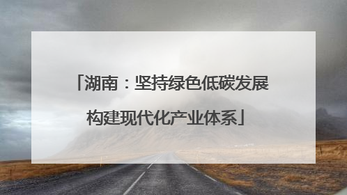 湖南：坚持绿色低碳发展 构建现代化产业体系