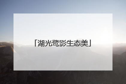 湖光鹭影生态美