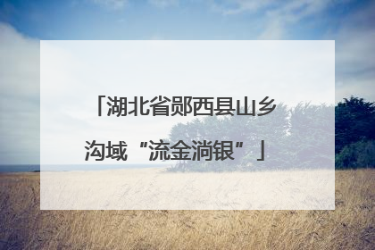 湖北省郧西县山乡沟域“流金淌银”
