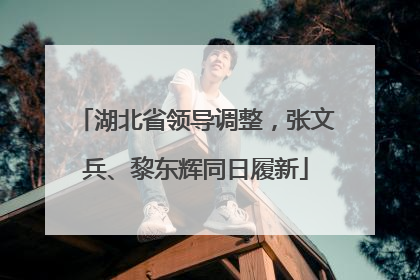湖北省领导调整，张文兵、黎东辉同日履新