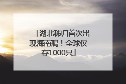 湖北秭归首次出现海南鳽！全球仅存1000只
