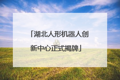 湖北人形机器人创新中心正式揭牌