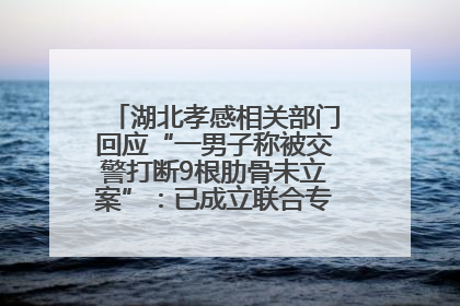 湖北孝感相关部门回应“一男子称被交警打断9根肋骨未立案”：已成立联合专班开展工作