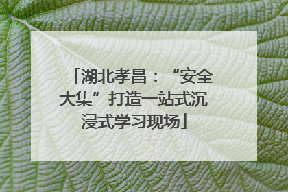 湖北孝昌：“安全大集”打造一站式沉浸式学习现场