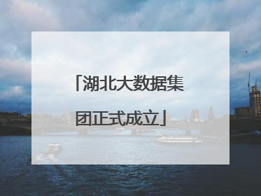 湖北大数据集团正式成立