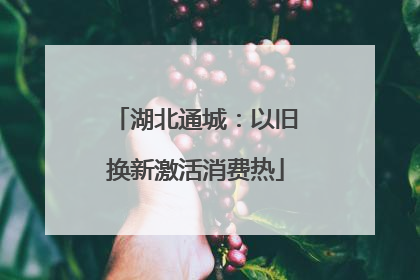 湖北通城：以旧换新激活消费热