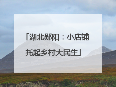 湖北郧阳：小店铺托起乡村大民生