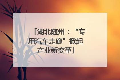 湖北随州：“专用汽车走廊”掀起产业新变革