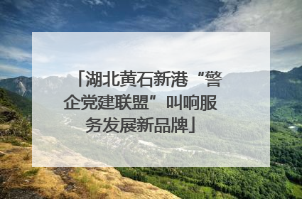 湖北黄石新港“警企党建联盟”叫响服务发展新品牌