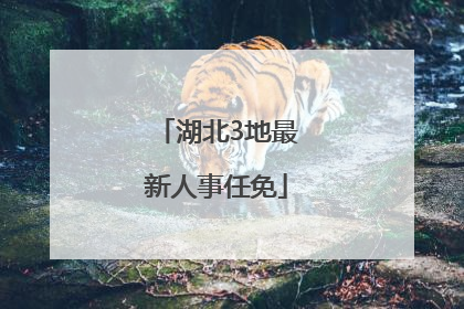 湖北3地最新人事任免