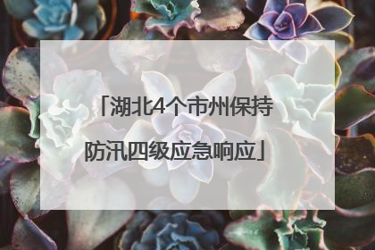 湖北4个市州保持防汛四级应急响应