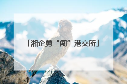 湘企勇“闯”港交所