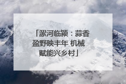 漯河临颍：蒜香盈野映丰年 机械赋能兴乡村