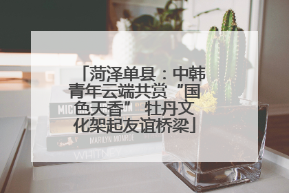 菏泽单县：中韩青年云端共赏“国色天香” 牡丹文化架起友谊桥梁