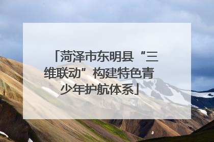 菏泽市东明县“三维联动”构建特色青少年护航体系