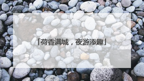 荷香满城，夜游添趣