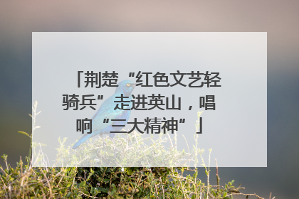 荆楚“红色文艺轻骑兵”走进英山，唱响“三大精神”