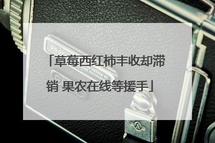草莓西红柿丰收却滞销 果农在线等援手