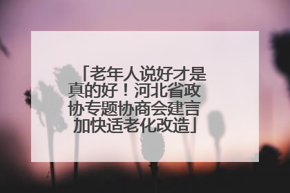 老年人说好才是真的好！河北省政协专题协商会建言加快适老化改造