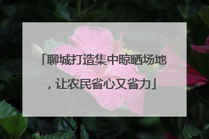 聊城打造集中晾晒场地，让农民省心又省力