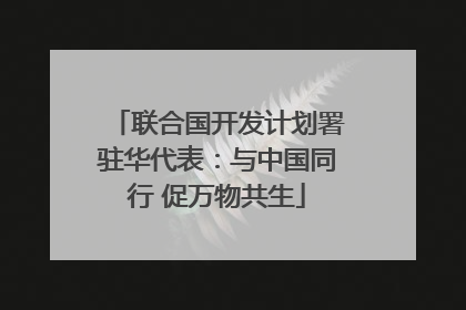 联合国开发计划署驻华代表：与中国同行 促万物共生