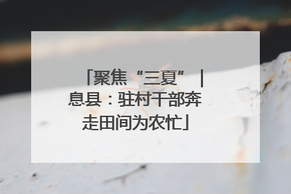 聚焦“三夏”｜息县：驻村干部奔走田间为农忙