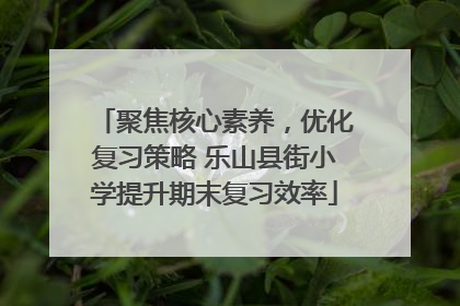 聚焦核心素养，优化复习策略 乐山县街小学提升期末复习效率