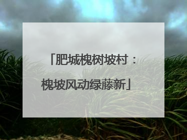 肥城槐树坡村：槐坡风动绿藤新