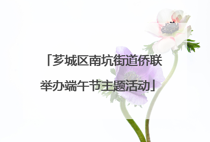 芗城区南坑街道侨联举办端午节主题活动