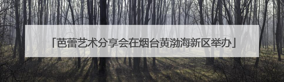 芭蕾艺术分享会在烟台黄渤海新区举办