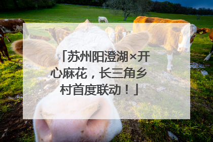 苏州阳澄湖×开心麻花，长三角乡村首度联动！