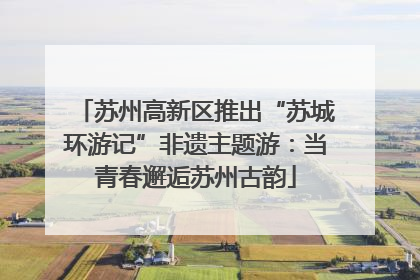 苏州高新区推出“苏城环游记”非遗主题游：当青春邂逅苏州古韵