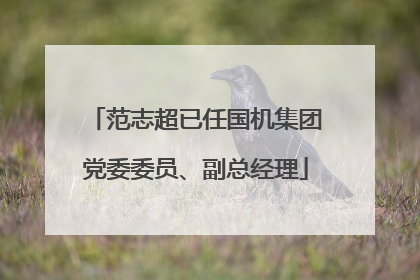 范志超已任国机集团党委委员、副总经理