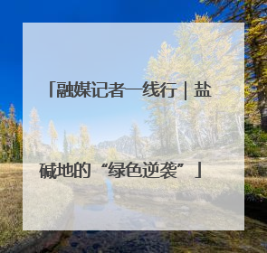 融媒记者一线行｜盐碱地的“绿色逆袭”