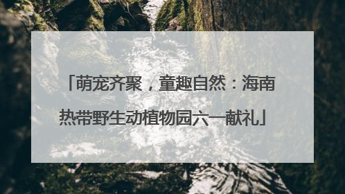 萌宠齐聚，童趣自然：海南热带野生动植物园六一献礼