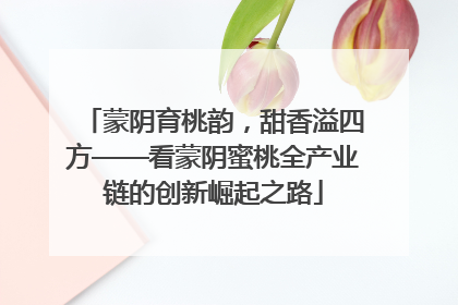 蒙阴育桃韵，甜香溢四方——看蒙阴蜜桃全产业链的创新崛起之路