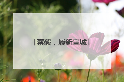 蔡毅，履新宣城