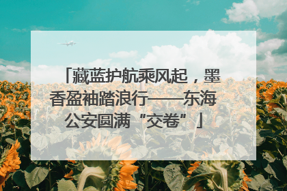 藏蓝护航乘风起，墨香盈袖踏浪行——东海公安圆满“交卷”