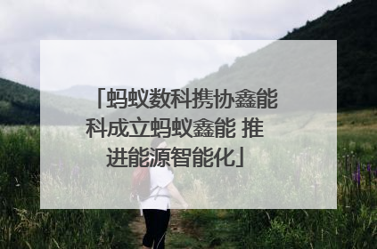 蚂蚁数科携协鑫能科成立蚂蚁鑫能 推进能源智能化