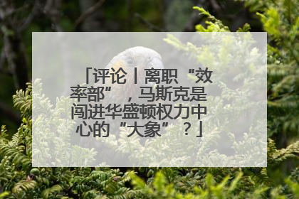 评论丨离职“效率部”，马斯克是闯进华盛顿权力中心的“大象”？
