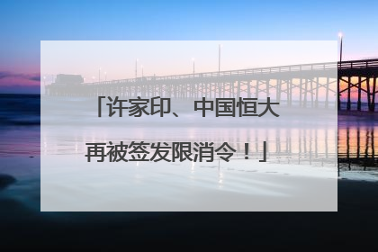 许家印、中国恒大再被签发限消令！