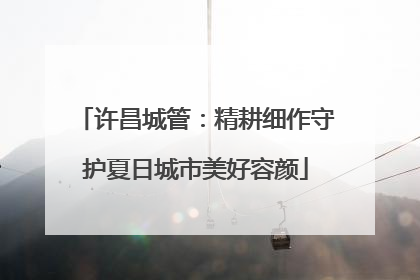 许昌城管：精耕细作守护夏日城市美好容颜