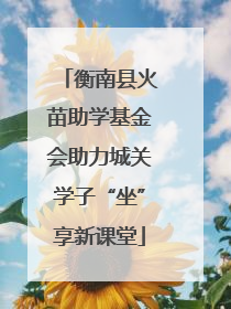 衡南县火苗助学基金会助力城关学子“坐”享新课堂